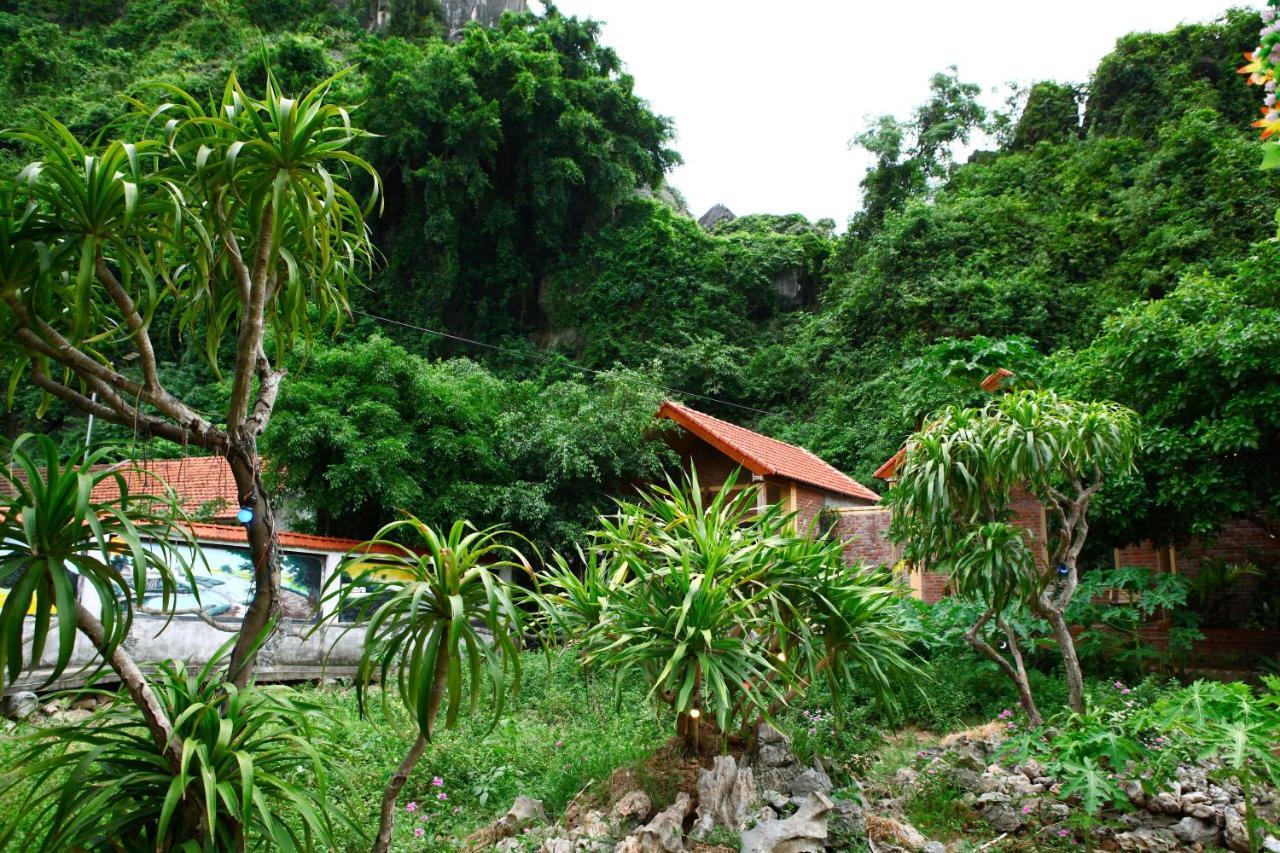 Tam Coc Valley Homestay Ninh Binh Exterior foto